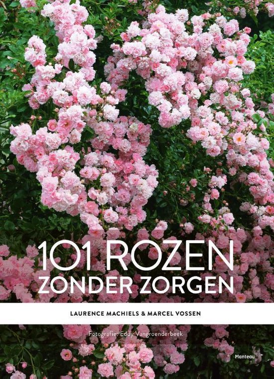 101 rozen zonder zorgen