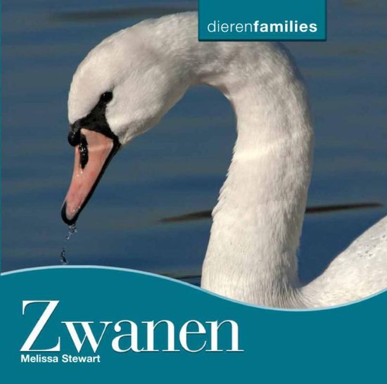 Dierenfamilies zwanen