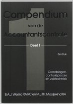 Compendium van de accountantscontrole 1