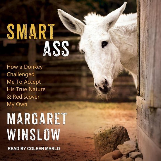 Smart Ass - cover
