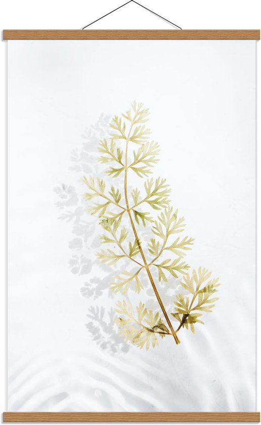 Schoolplaat – Witte Bloem met Schaduwen - 60x90cm Foto op Textielposter (Wanddecoratie op Schoolplaat)
