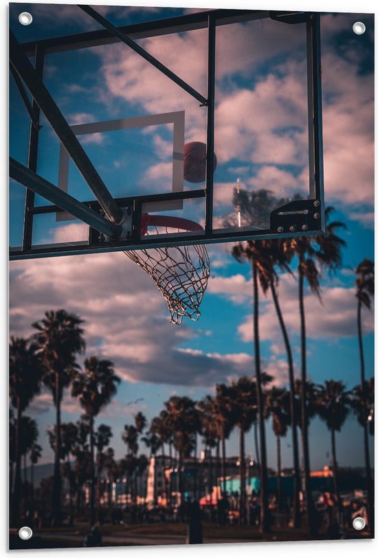 Tuinposter – Basketbalveld en bij Palmbomen - 60x90cm Foto op Tuinposter  (wanddecoratie voor buiten en binnen)