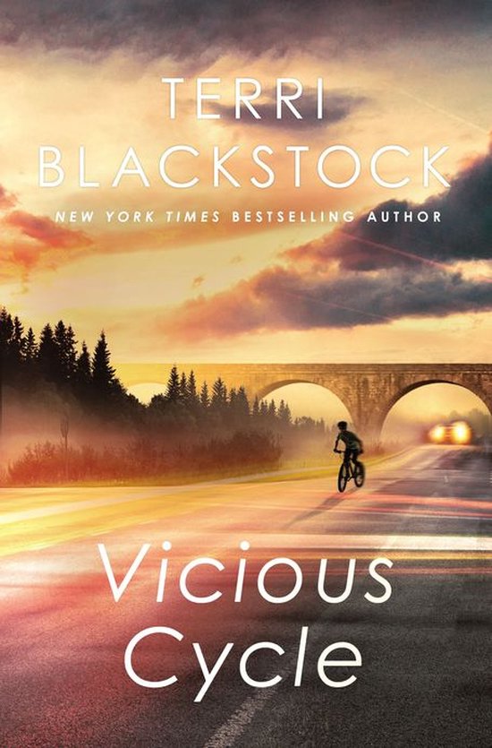 An Intervention Novel 3 - Vicious Cycle - cover