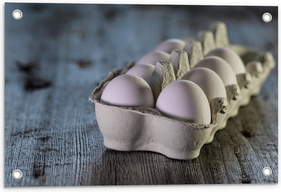 Tuinposter – Witte Eieren in Eierdoos  - 60x40cm Foto op Tuinposter  (wanddecoratie voor buiten en binnen)