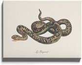 Walljar - Le Serpent - Dieren poster