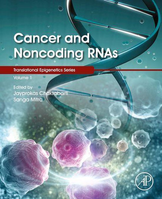 Translational Epigenetics 1 - Cancer and Noncoding RNAs - cover