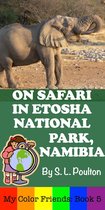 My Color Friends 5 - On Safari in Etosha National Park, Namibia