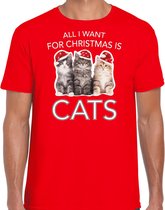 Kitten Kerstshirt / Kerst t-shirt All i want for Christmas is cats rood voor heren - Kerstkleding / Christmas outfit S