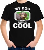Teckel honden t-shirt my dog is serious cool zwart - kinderen - Teckels liefhebber cadeau shirt L (146-152)