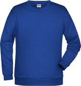 Sweat-shirt Basis pour hommes James And Nicholson (Dark Royal)