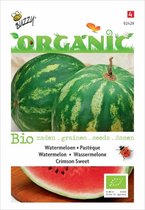 Buzzy® Organic Watermeloenen Crimson Sweet (BIO)