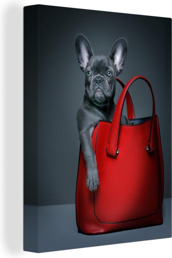 Bouledogue drôle en toile de sac à main rouge 60x80 cm - Tirage photo sur  toile... | bol.com