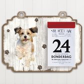 Scheurkalender 2023 Hond: Bolonka Zwetna