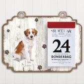 Scheurkalender 2023 Hond: kooikerhondje