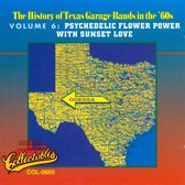 History Of Texas Garage Bands Vol. 6:...