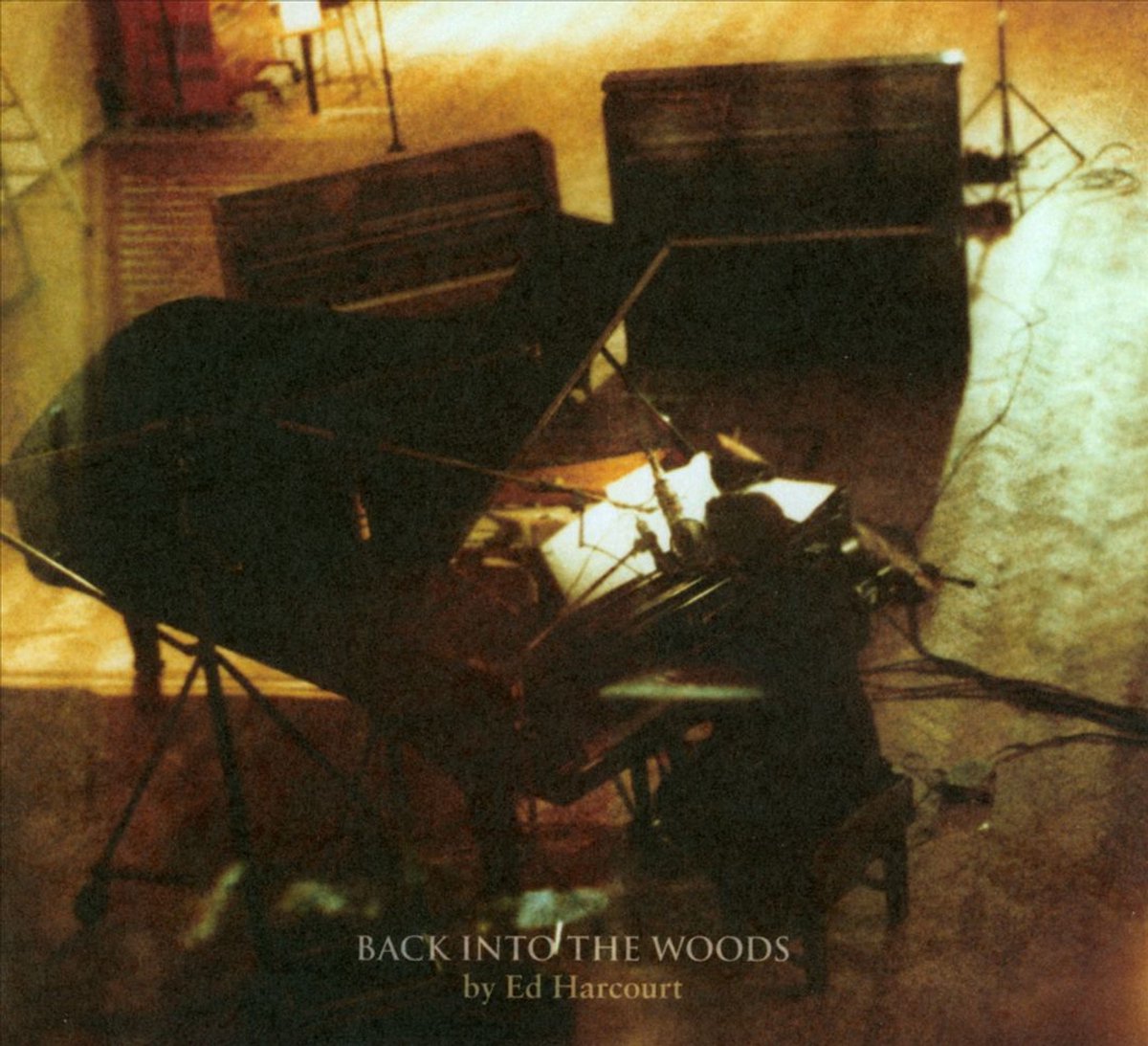 Back Into The Woods