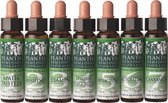 Artesania Plantis 33 Nogal 10ml