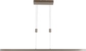 Steinhauer Hanglamp Litho LED - Staal