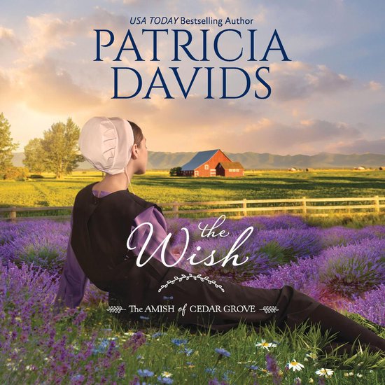 The Wish - cover
