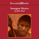 Insurgent Mexico