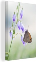 Canvas Schilderij Zandoogje vlinder neergestreken op bloemen - 80x120 cm - Wanddecoratie