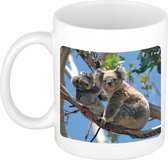 Dieren foto mok koala beer - koalaberen beker wit 300 ml