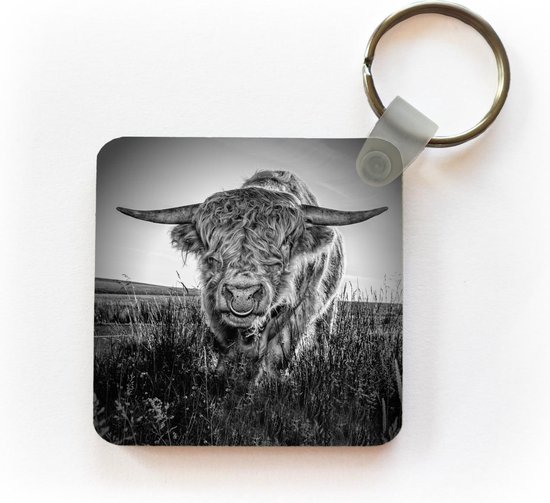 Porte-clés Scottish Highlanders - Close-up Scottish Highlander en plastique noir et blanc porte-clés - porte-clés carré avec photo