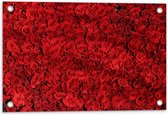 Tuinposter – Rode Rozen - 60x40cm Foto op Tuinposter  (wanddecoratie voor buiten en binnen)