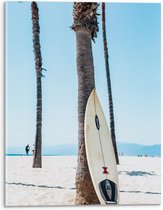 Acrylglas - Surfplank Tegen Palmboom op het Strand - 30x40cm Foto op Acrylglas (Met Ophangsysteem)