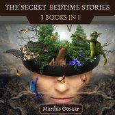 Preschool Educational Picture Books 3 - The Secret Bedtime Stories
