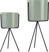 PT Pedestal Bloempotten (set Van 2) - Paars