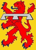 Vlag gemeente Teylingen 70x100 cm