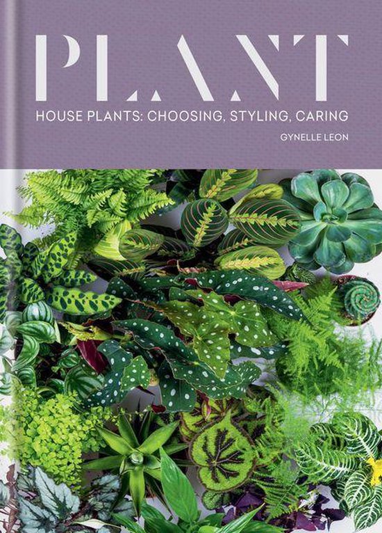 Plant - cover