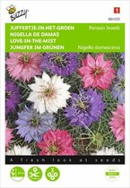 Juffertje int groen Persian Jewels  - Nigella damascena