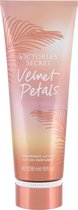 Victoria's Secret - Velvet Petals Sunkissed Body Lotion - 236ml