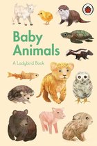 A Ladybird Book - A Ladybird Book: Baby Animals