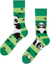 Good Mood Sokken - Panda en Strepen - Maat 39-42