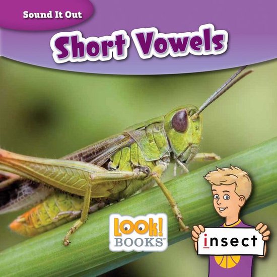 Sound It Out (LOOK! Books ™) - Short Vowels - cover