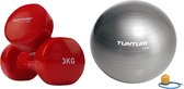 Tunturi - Fitness Set - Vinyl Dumbbell 2 x 3 kg  - Gymball Zilver 90 cm