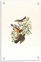 Tuinposter – Getekende Vogels op een Takje - 40x60cm Foto op Tuinposter  (wanddecoratie voor buiten en binnen)