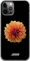 6F hoesje - geschikt voor iPhone 12 - Transparant TPU Case - Butterscotch Blossom #ffffff