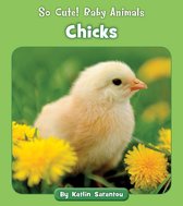 So Cute! Baby Animals - Chicks