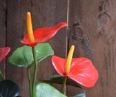Maxifleur Kunstplanten - Kunstplant - Anthurium - 40 cm - Rood - in 10 cm - Kweekpot - Niet van echt te onderscheiden!
