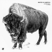 Winter In America (Feat. Fetsum)