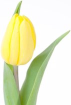 DutchFlowers - Boeket - 50x Tulipa strong gold 40cm