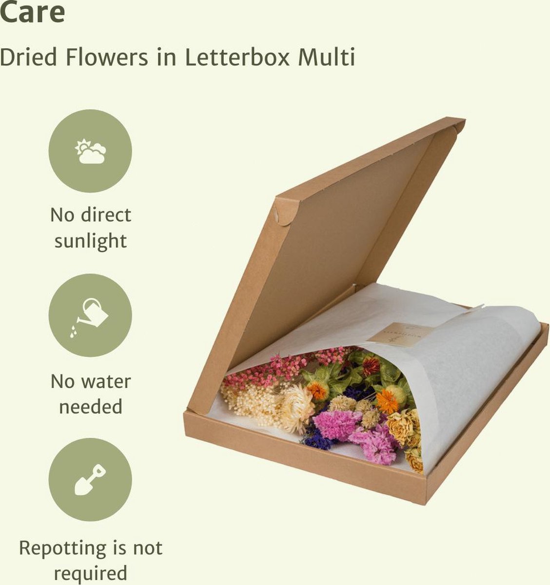 Droogbloemen in Letterbox Multi - Multi