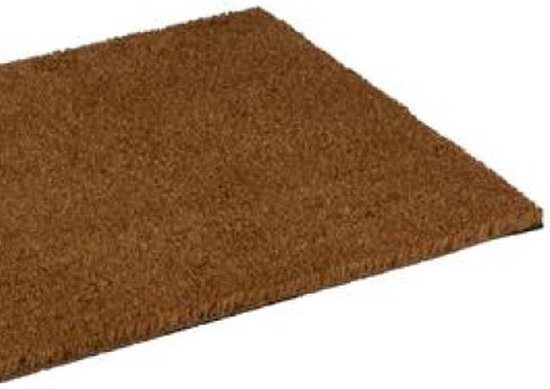 Arti Casa Paillasson - pour l'intérieur - fibre de coco - 60 x 40 cm - Tapis de séchage - tapis de nettoyage