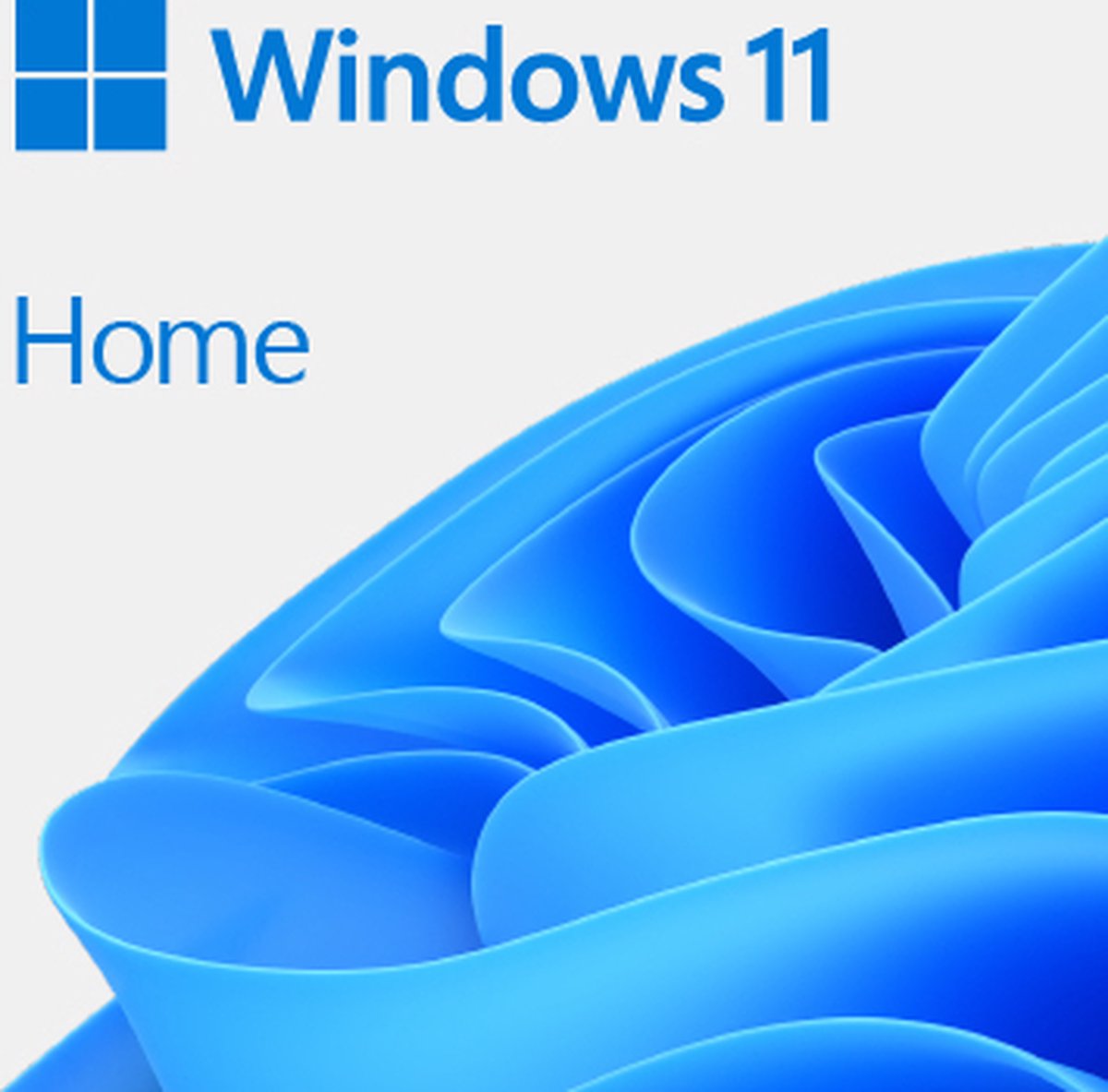 Microsoft Windows 11 Home Volledig verpakt product (FPP) 1 licentie(s)