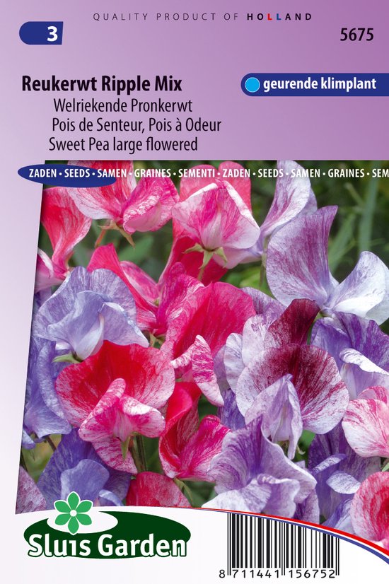 Sluis Garden - Reukerwt Ripple Formula mix (Lathyrus)