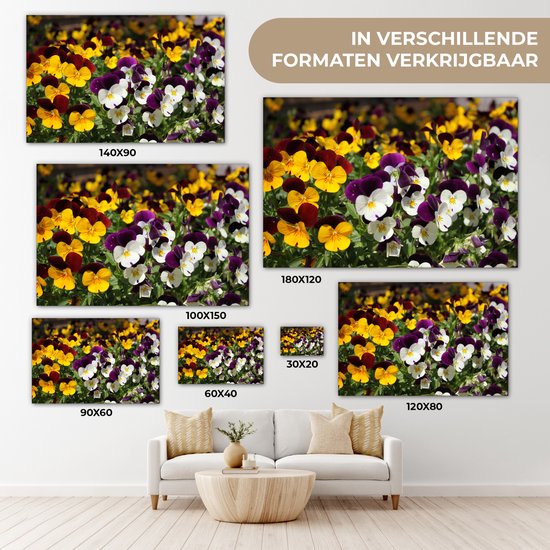 Toile Peinture Violettes Colorées - 180x120 cm - Décoration murale XXL